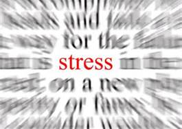 What are you stressed about?